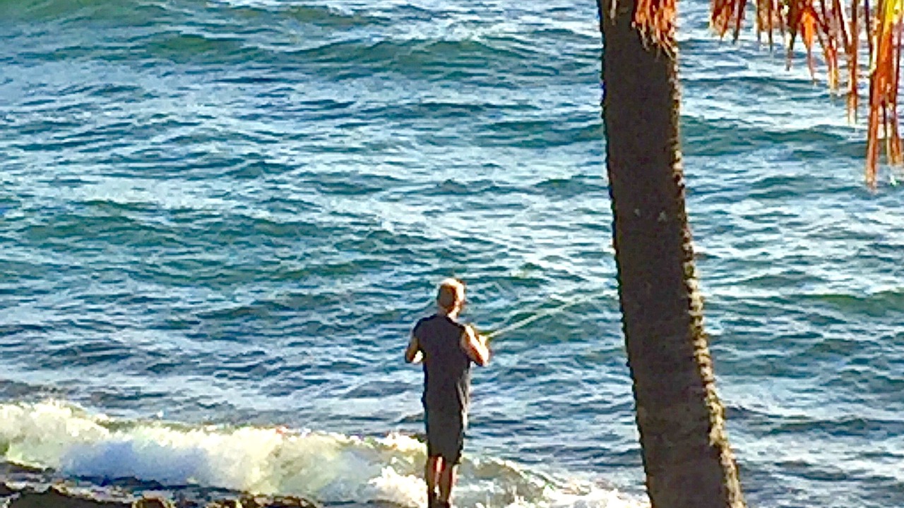 Photo of Others in Wailua