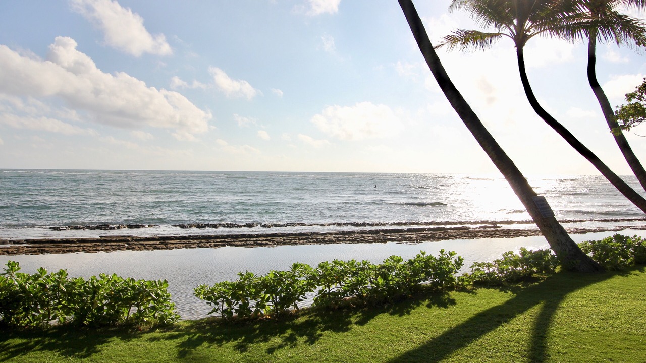 Photo of Others in Wailua