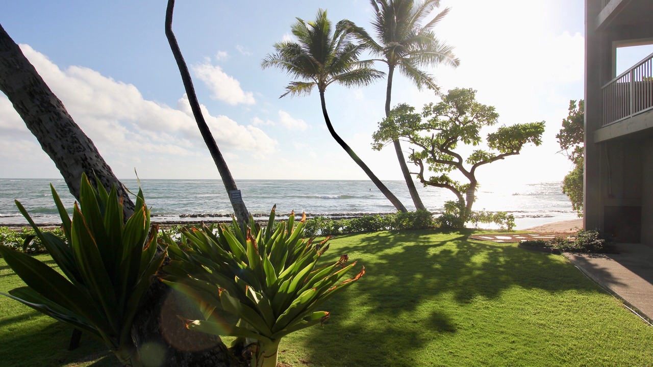 Photo of Outdoor in Wailua