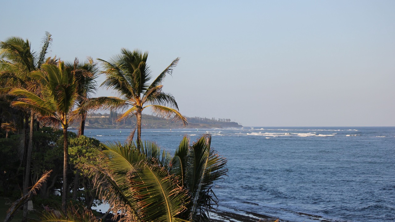 Photo of Others in Wailua