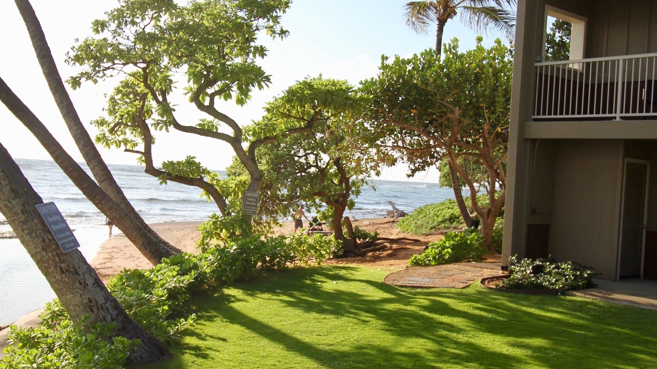 Photo of Others in Wailua