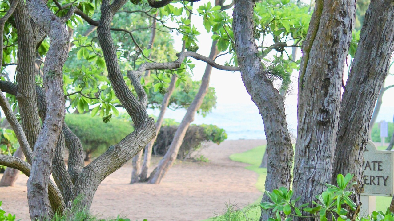Photo of Others in Wailua