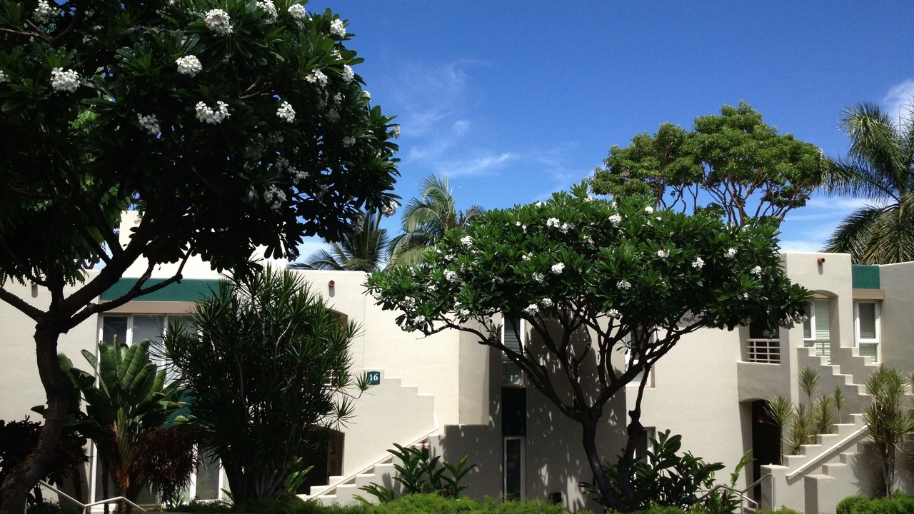 Photo of Others in Wailea