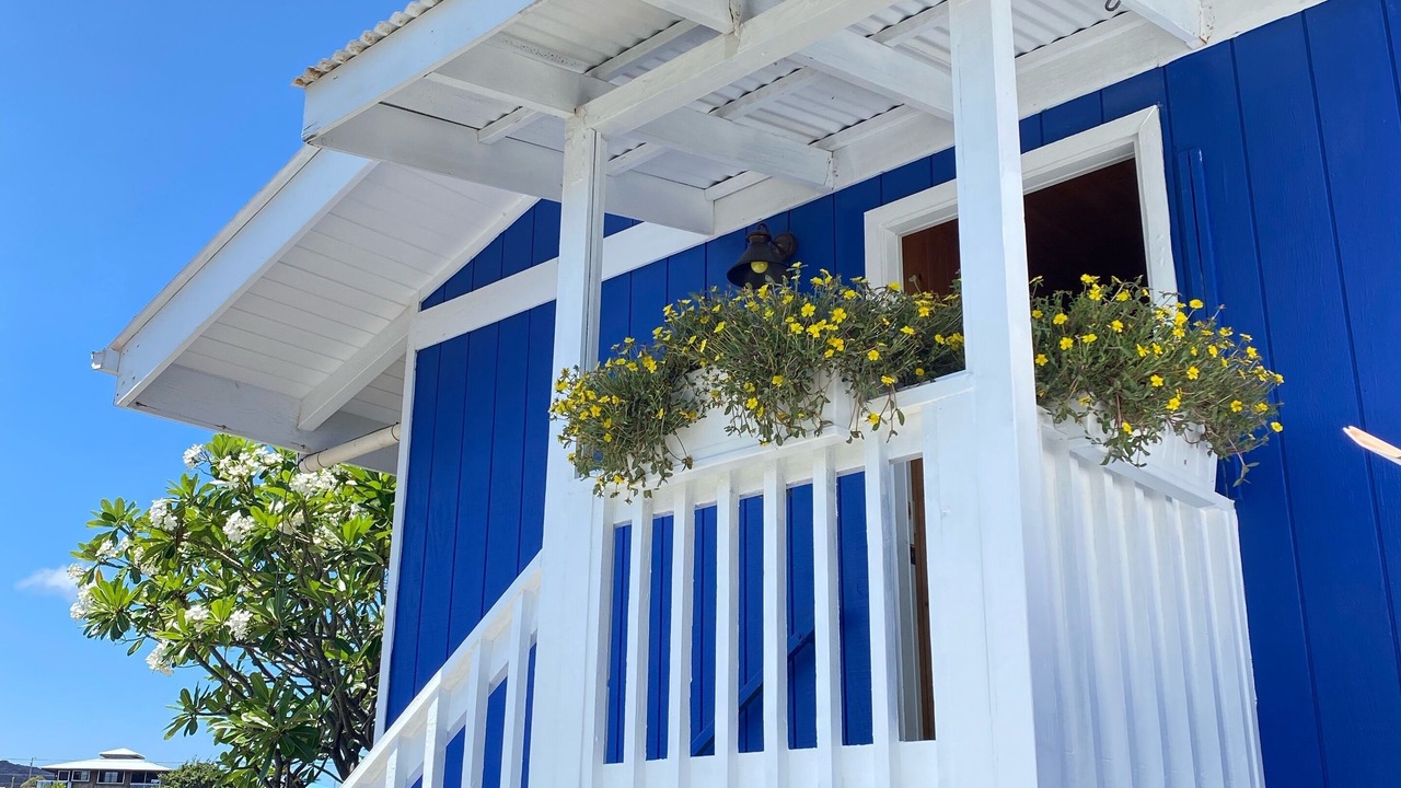 Photo of Outdoor in Captain Cook