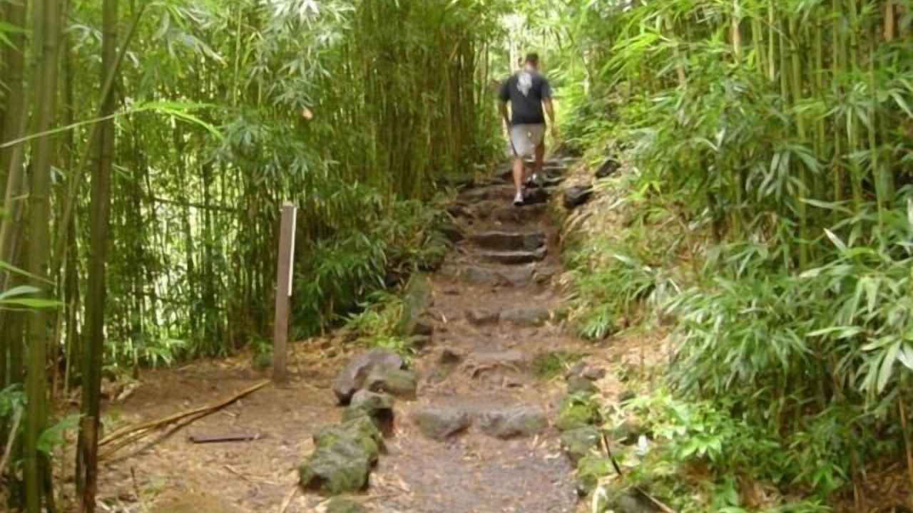 Photo of Others in Ulumalu