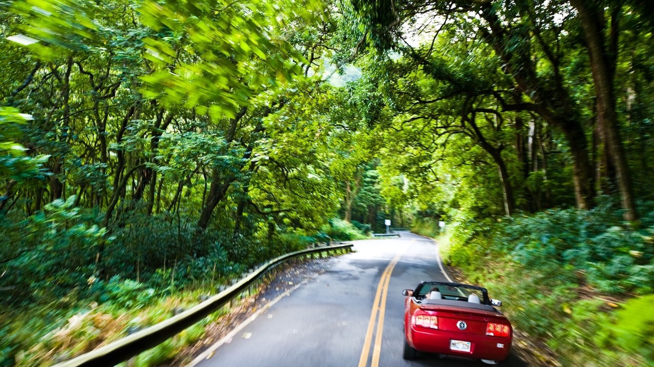 Photo of Outdoor in Pauwela