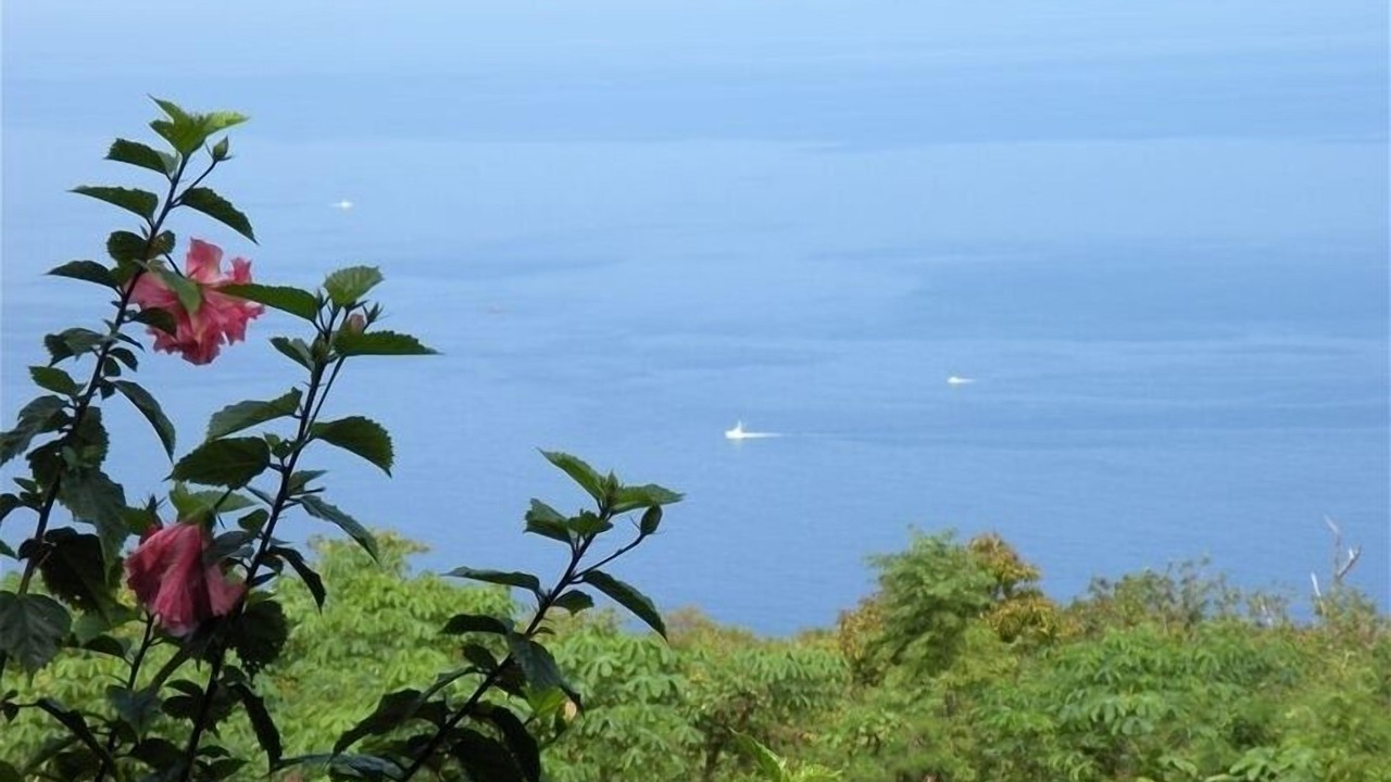 Photo of Others in Opihihale