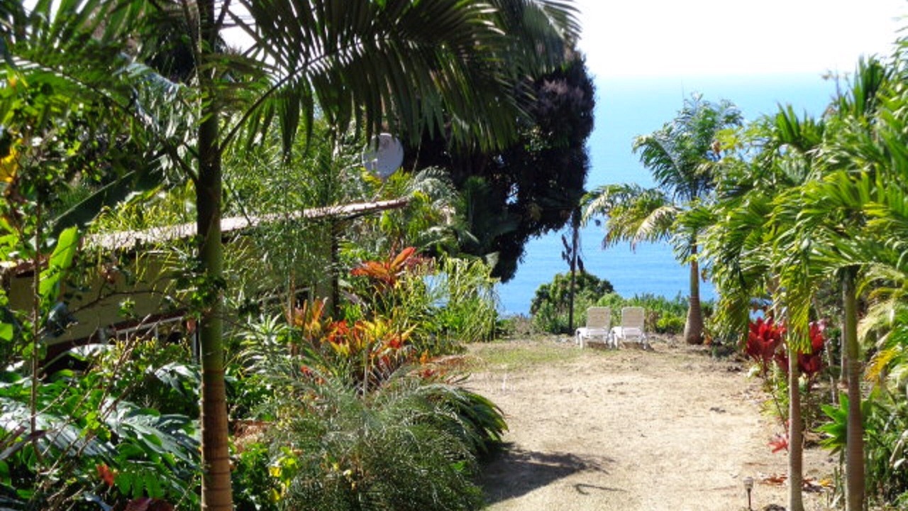 Photo of Others in Opihihale
