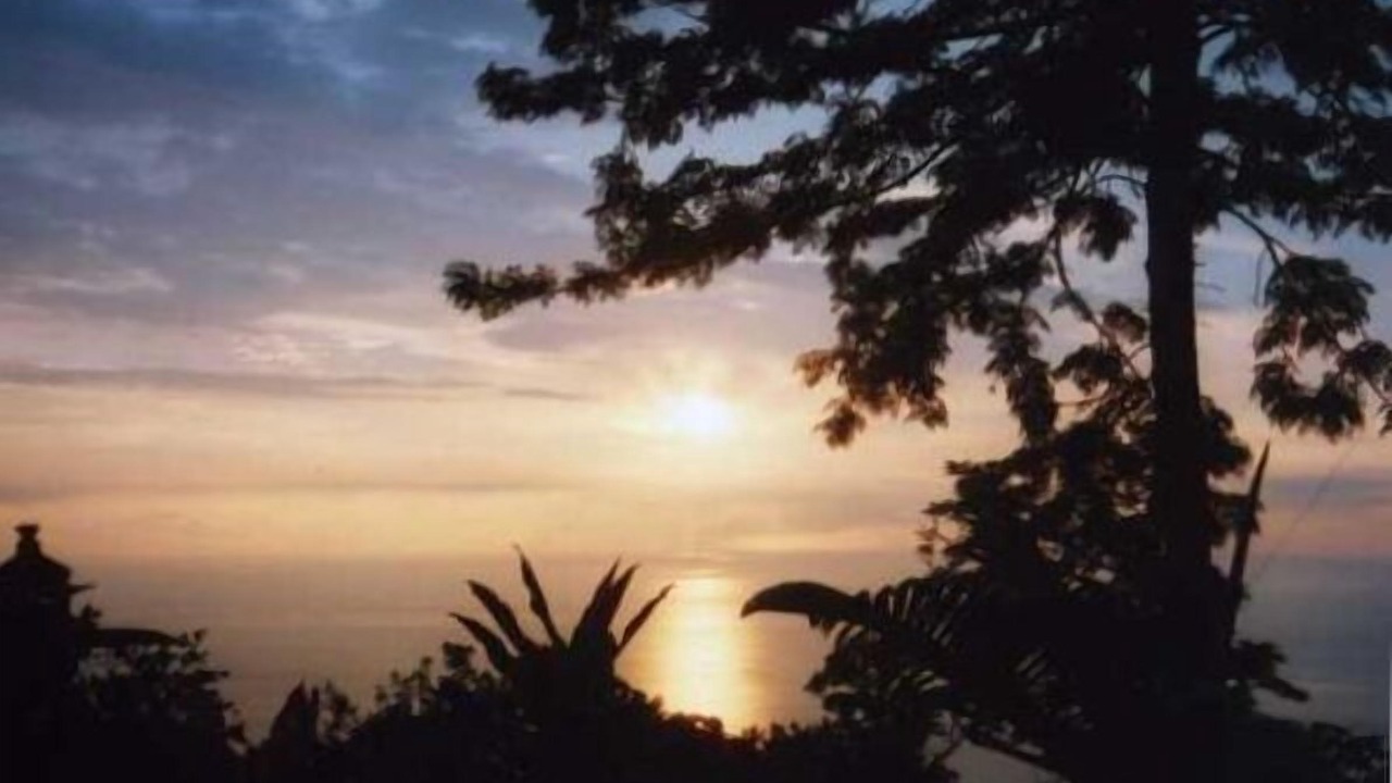 Photo of Others in Opihihale