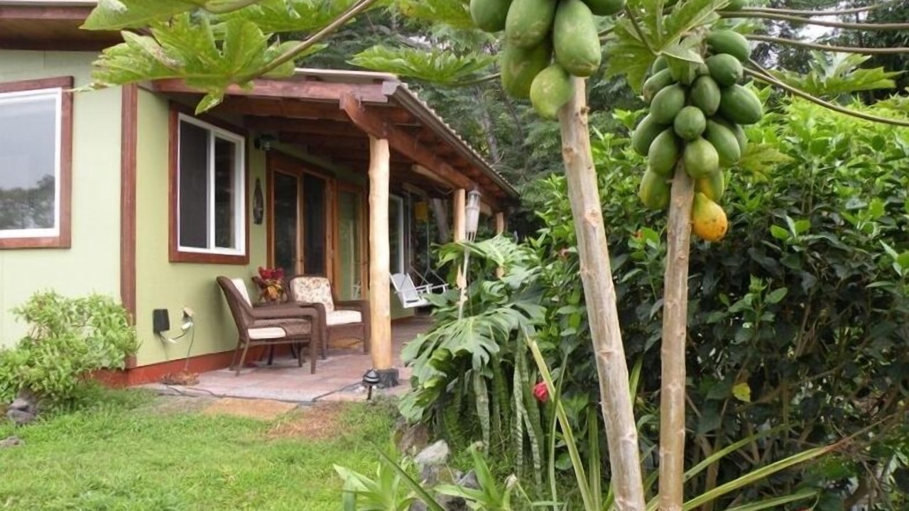 Photo of Outdoor in Opihihale