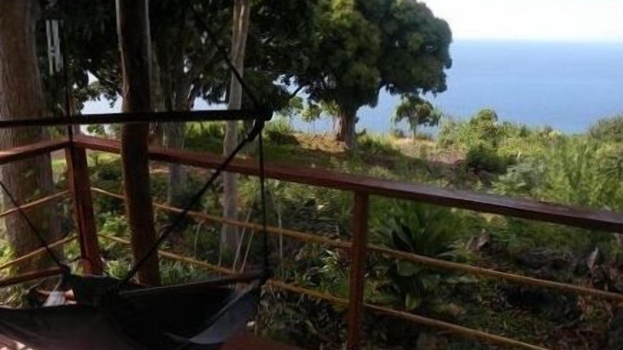 Photo of Others in Opihihale