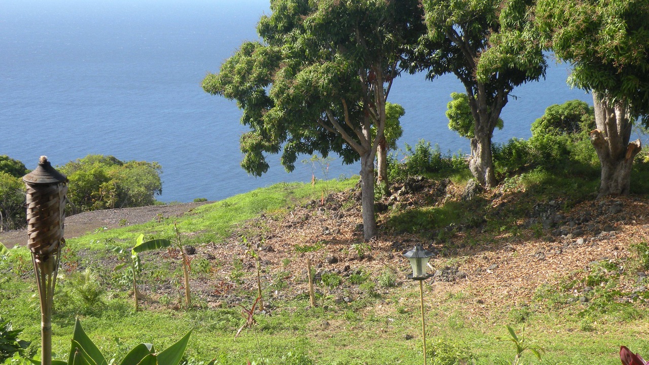 Photo of Others in Opihihale