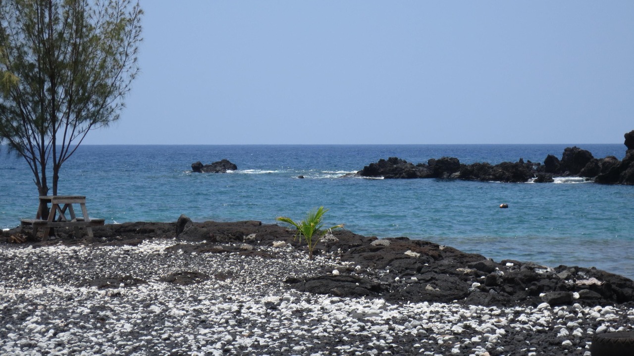 Photo of Others in Captain Cook
