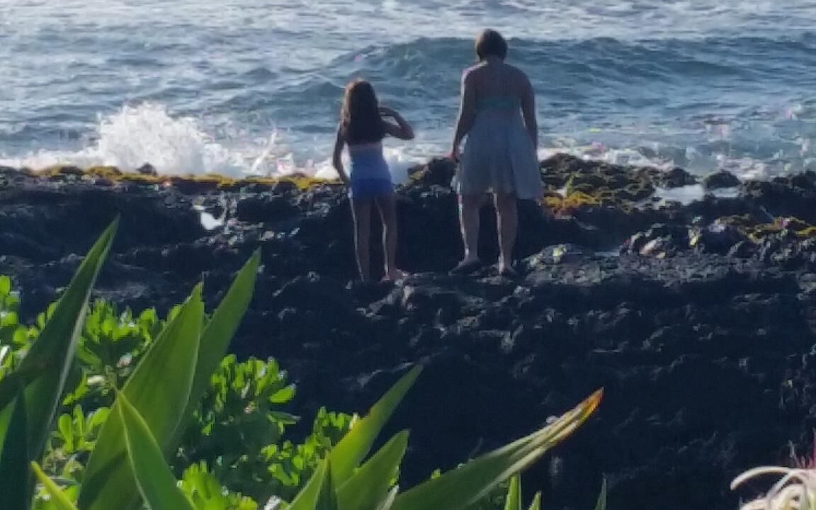 Photo of Others in Kahaluu Bay