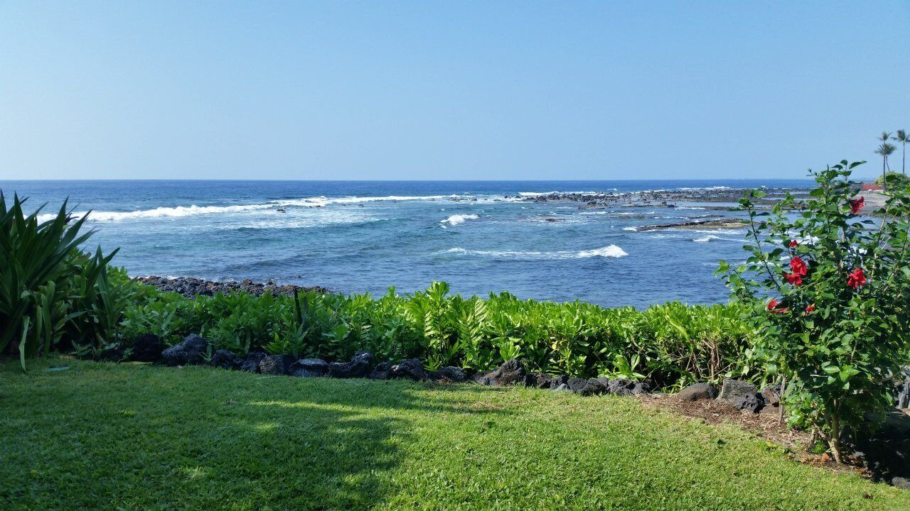 Photo of Others in Kahaluu Bay