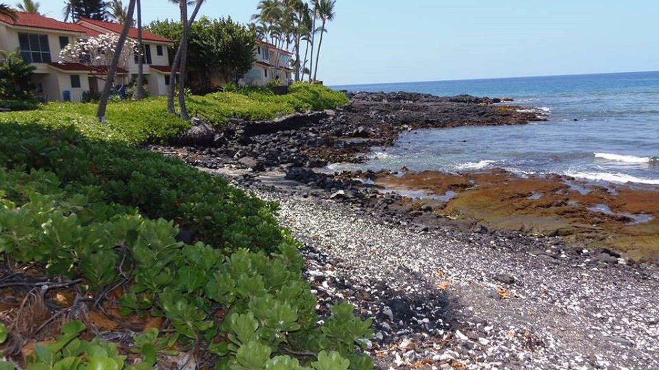 Photo of Others in Kahaluu Bay