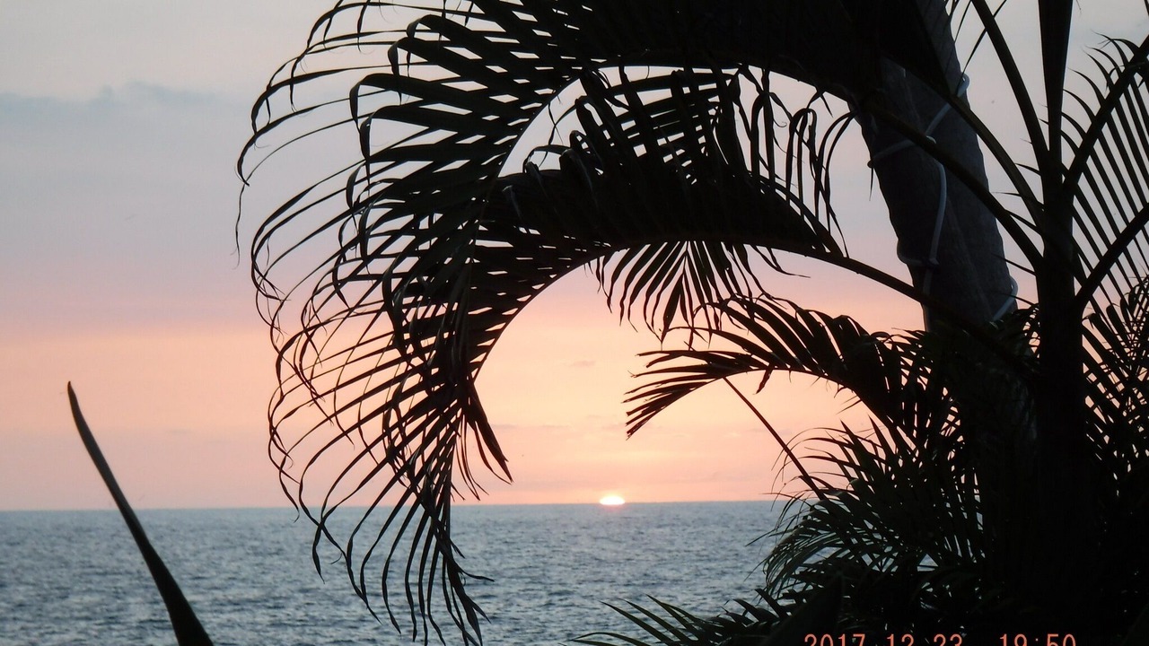 Photo of Others in Kahaluu Bay