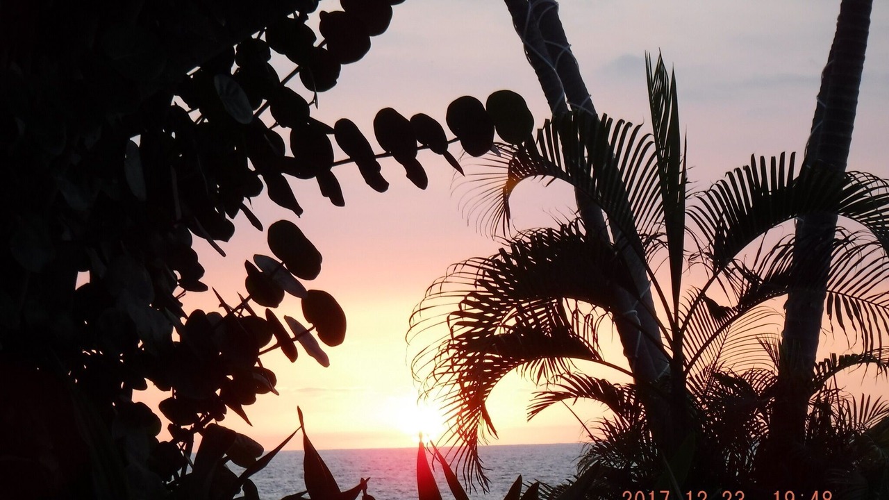 Photo of Outdoor in Kahaluu Bay
