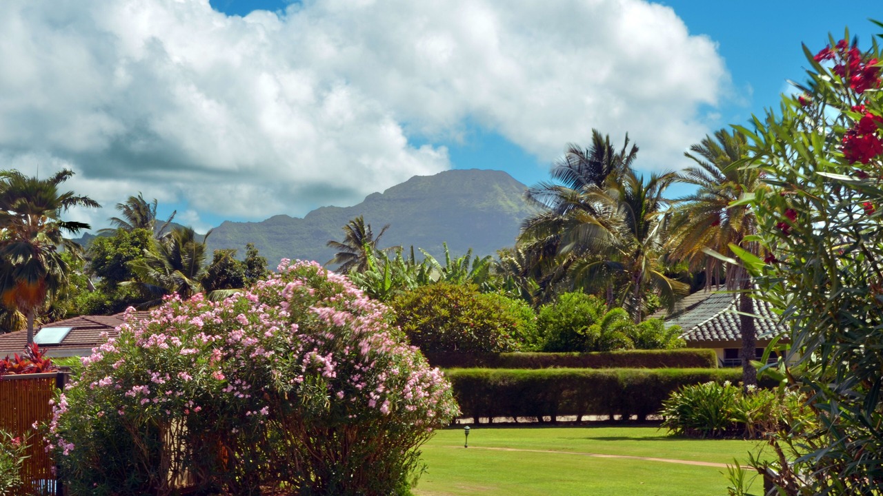 Photo of Outdoor in Poipu