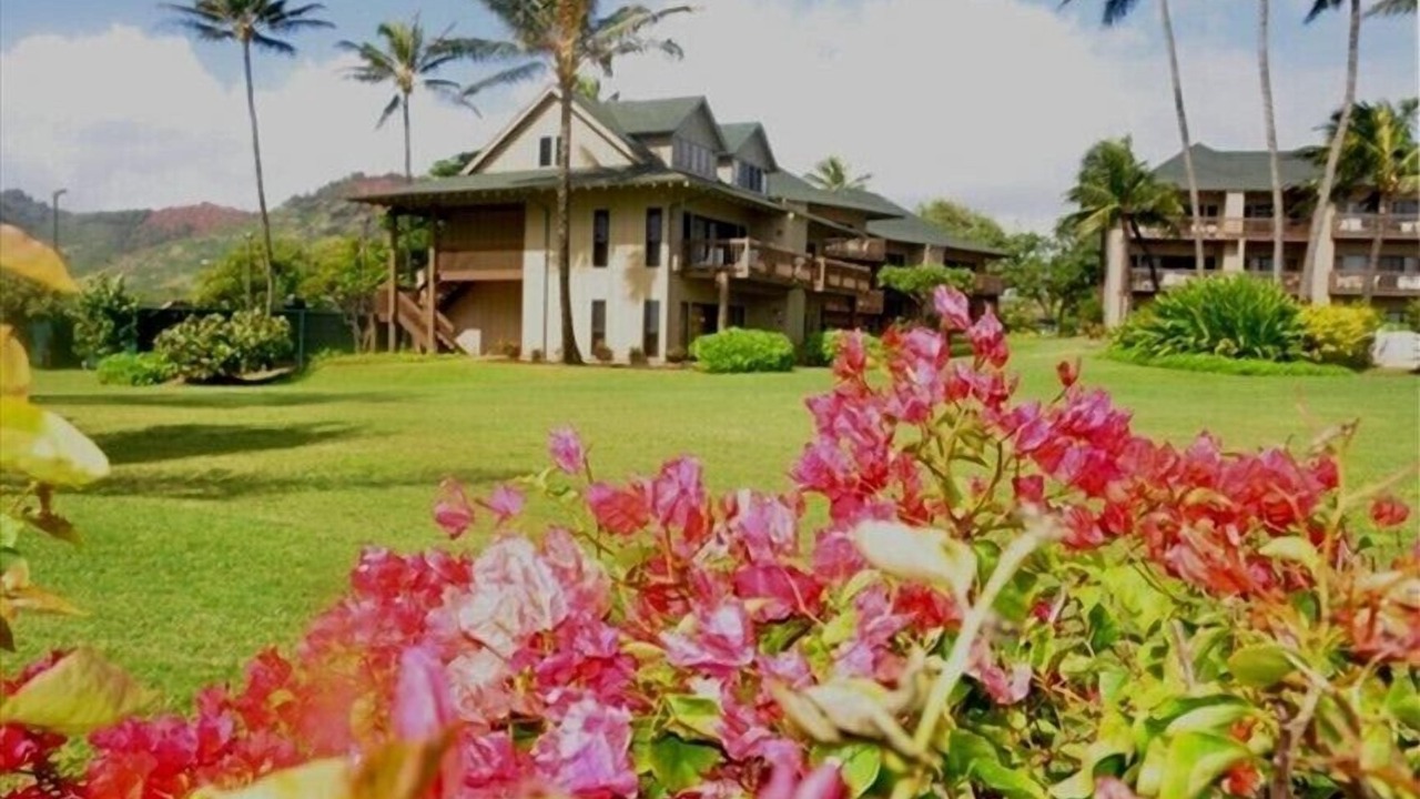Photo of Others in Lihue