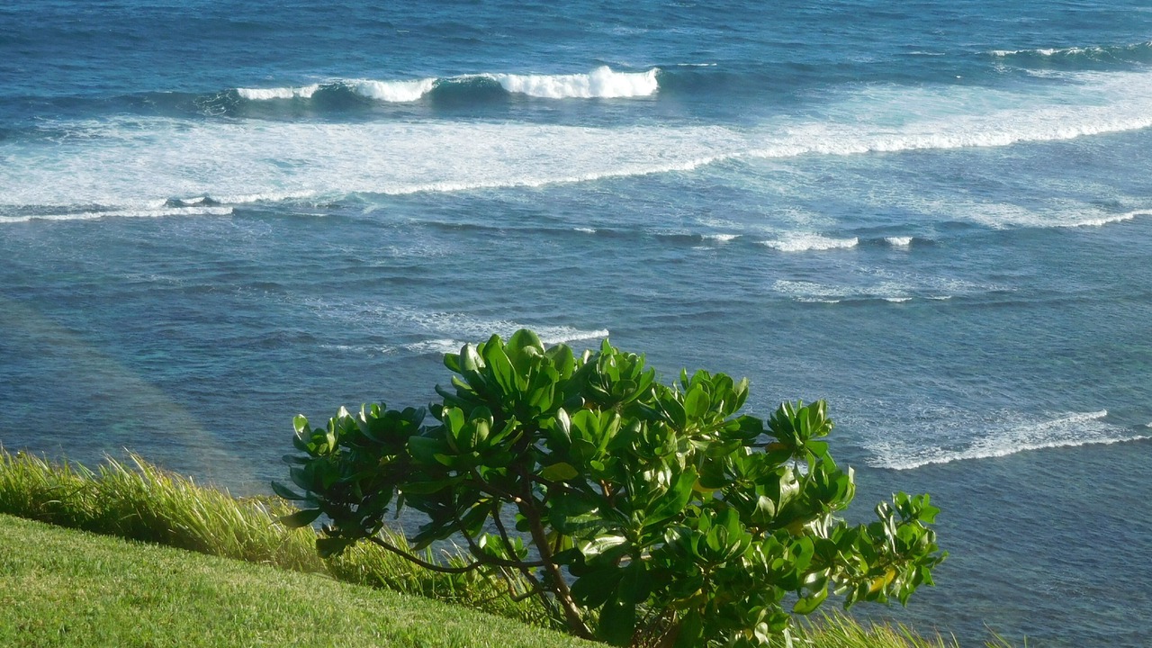 Photo of Others in Princeville