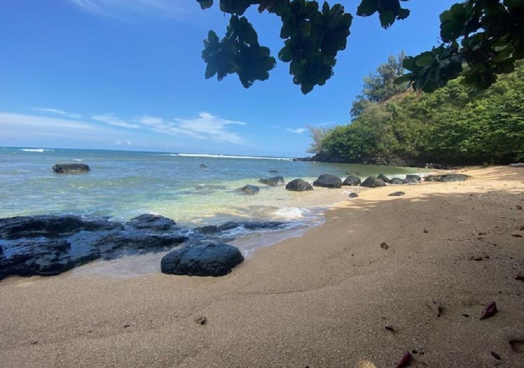 Photo of Others in Princeville