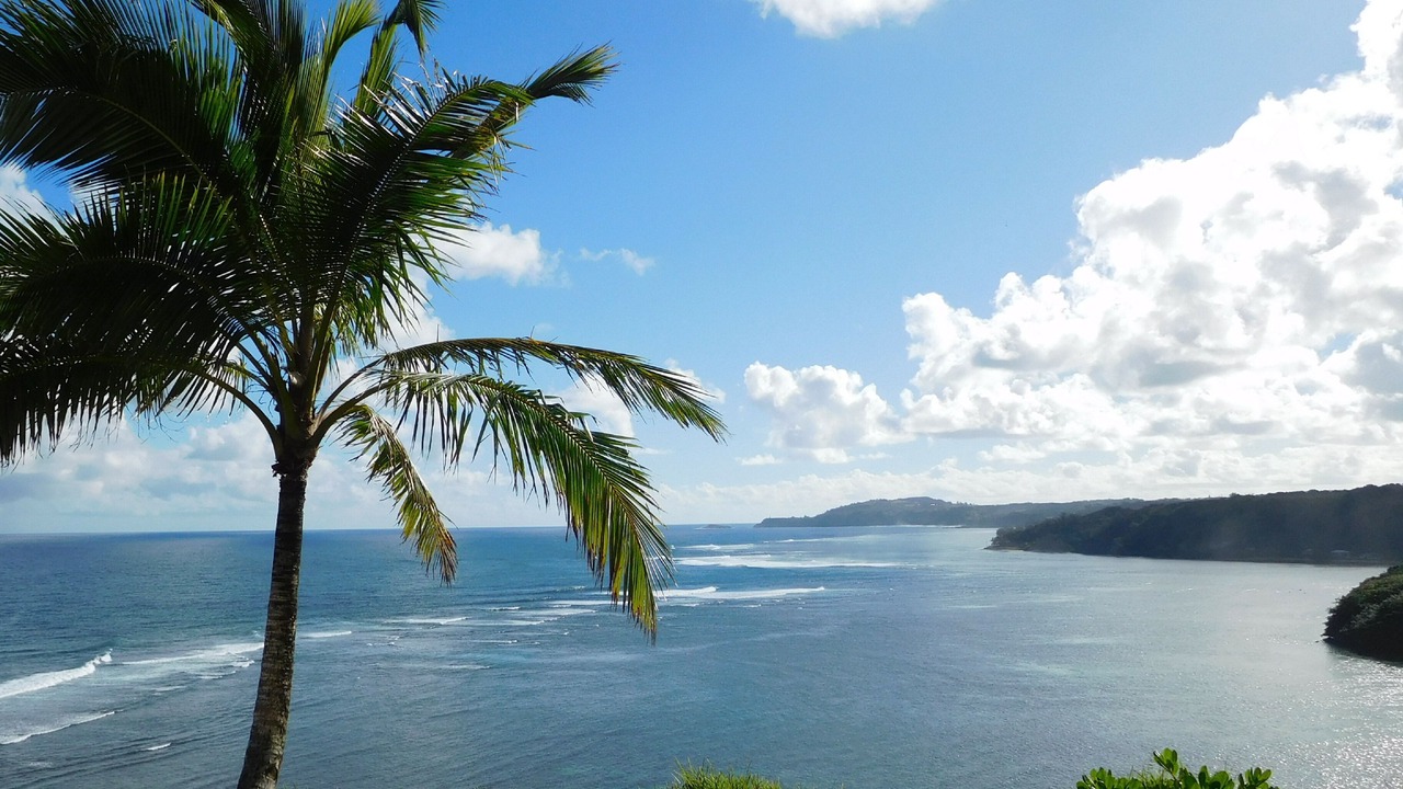 Photo of Others in Princeville