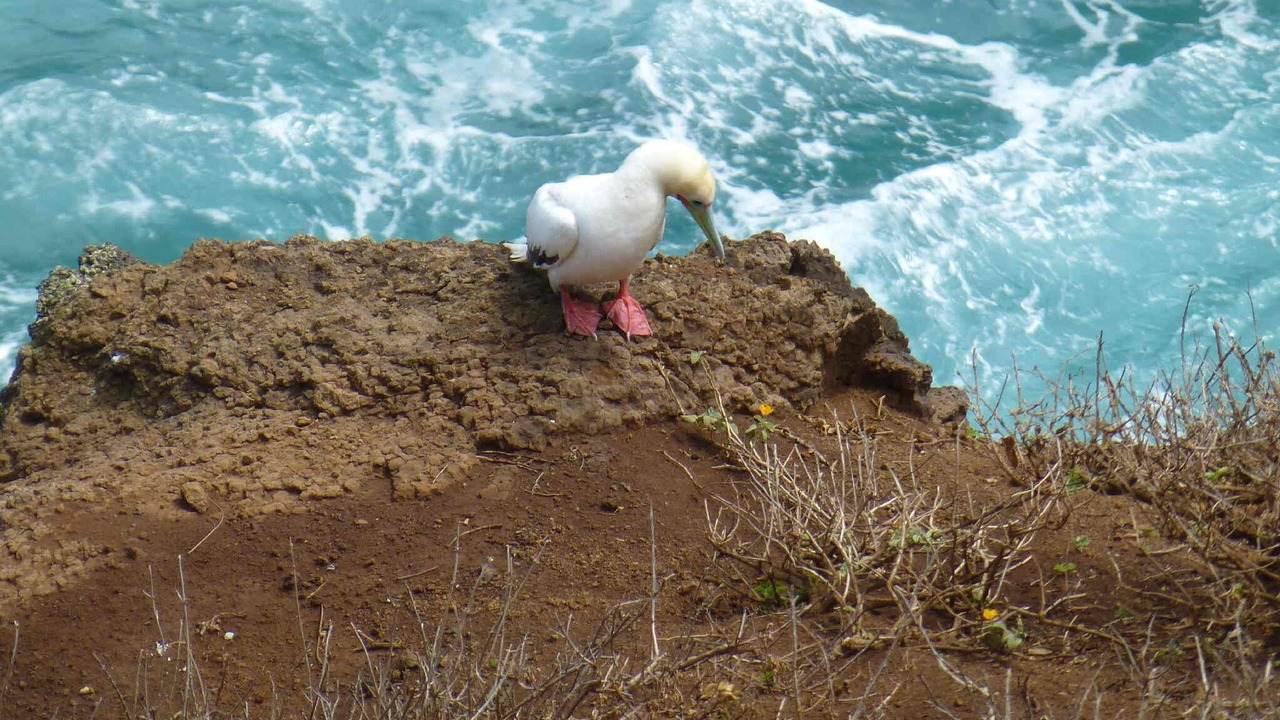 Photo of Others in Princeville