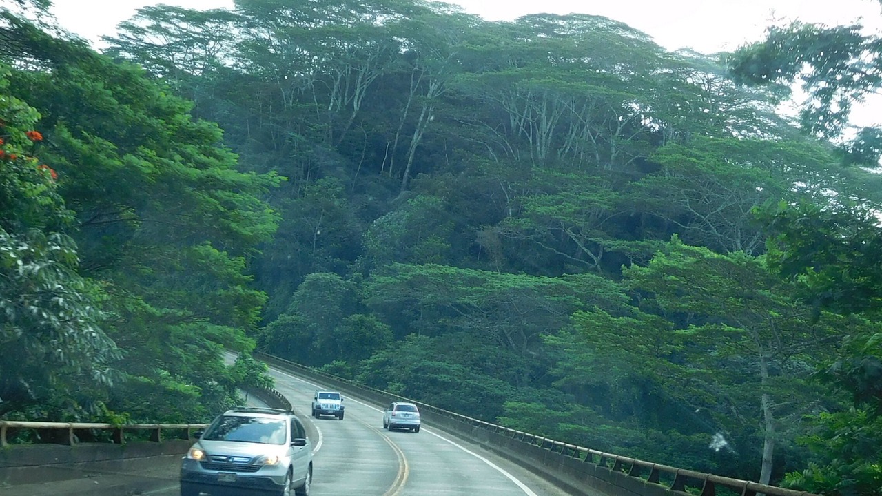 Photo of Others in Princeville