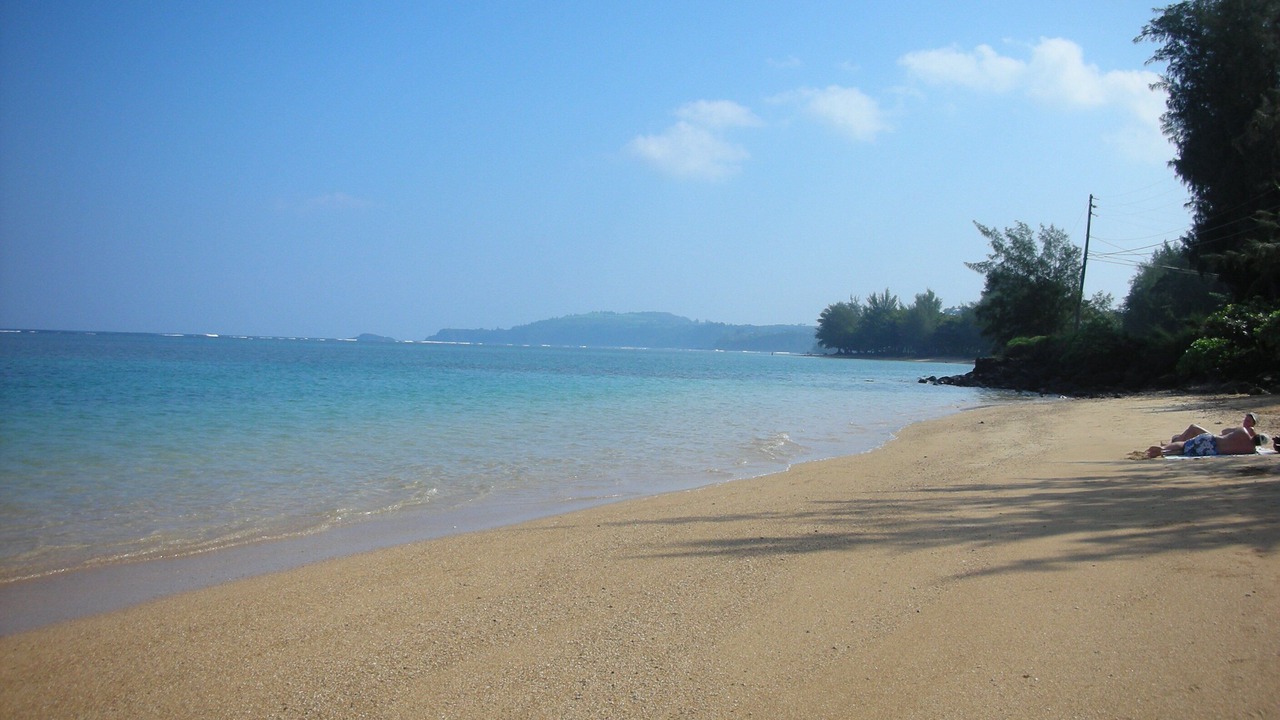 Photo of Others in Princeville