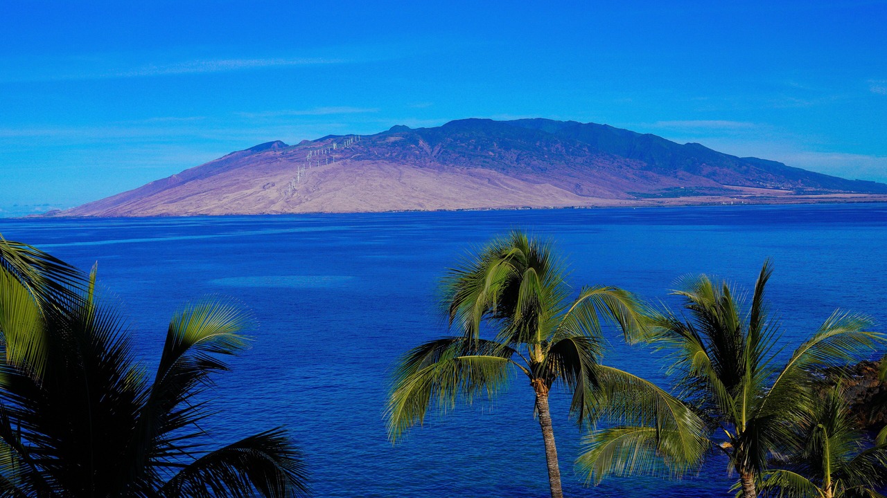 Photo of Others in Kihei