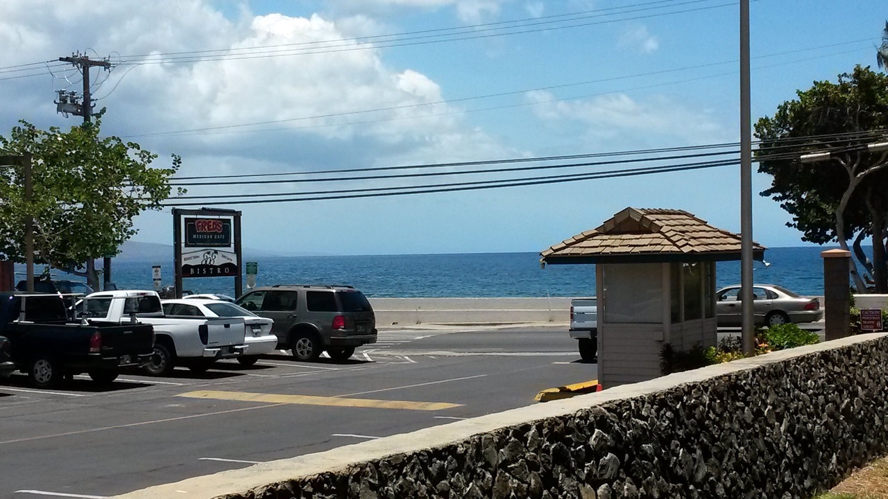 Photo of Others in Kihei