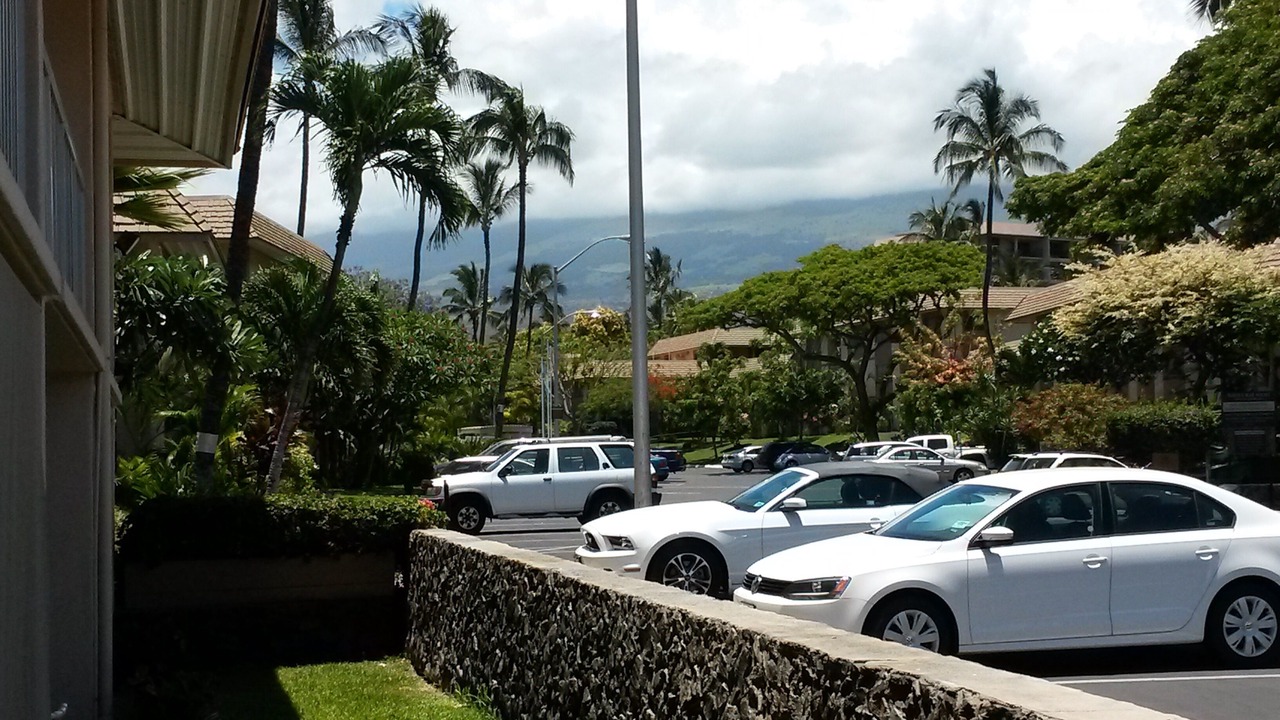 Photo of Others in Kihei