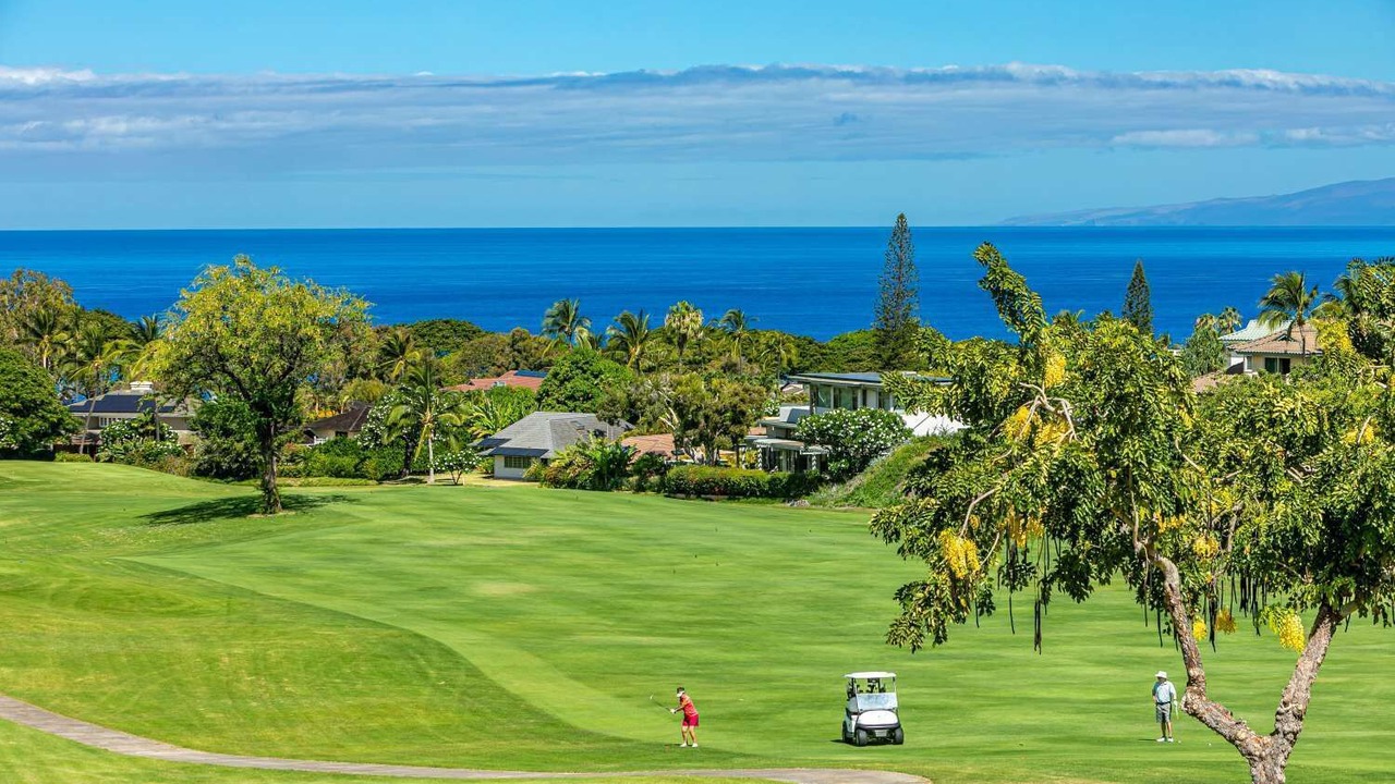 Photo of Others in Wailea