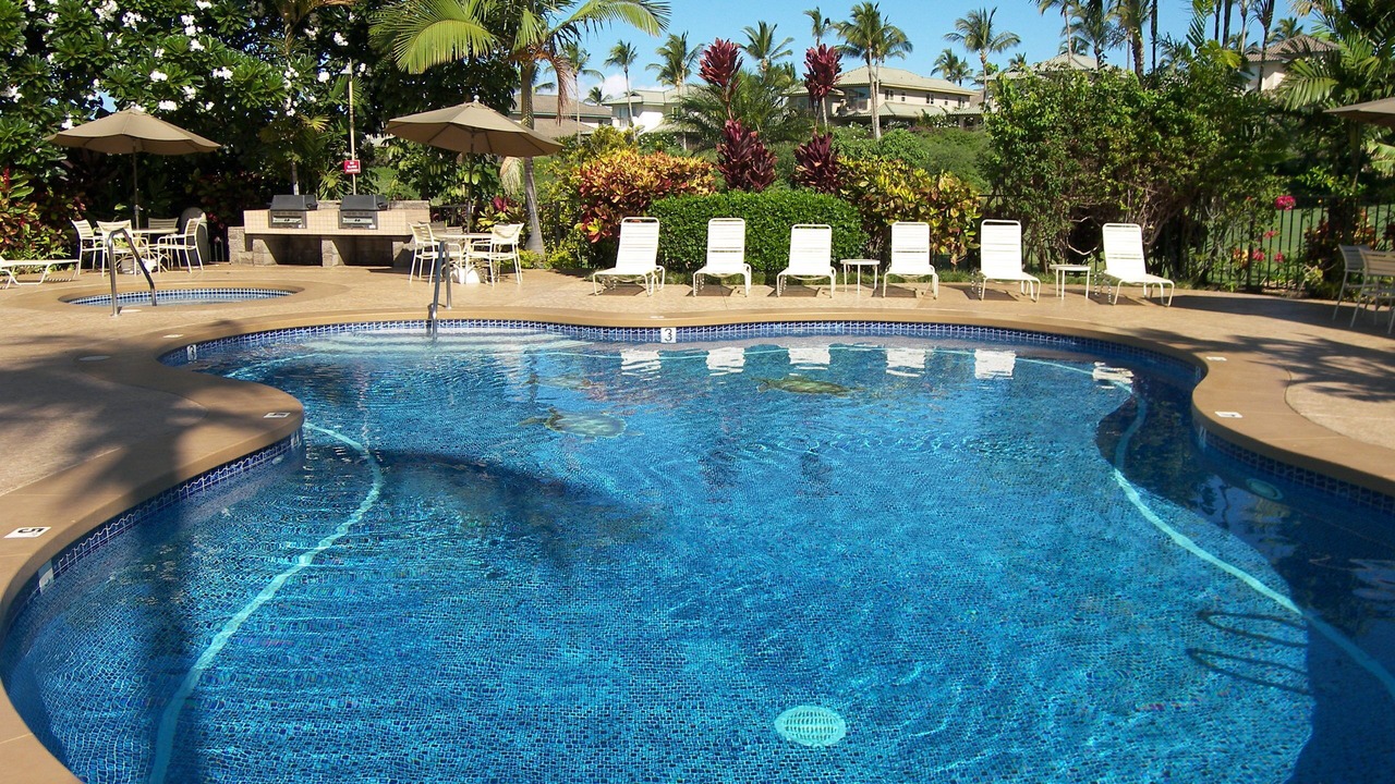 Photo of Others in Wailea