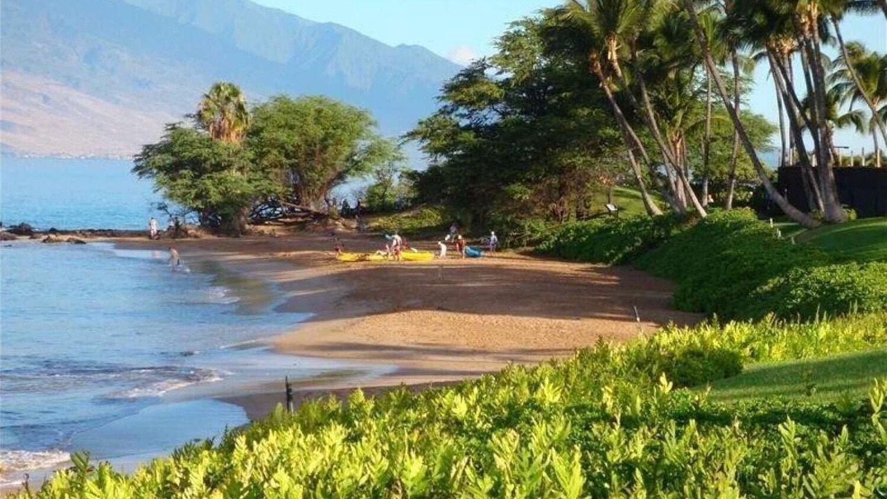 Photo of Others in Wailea