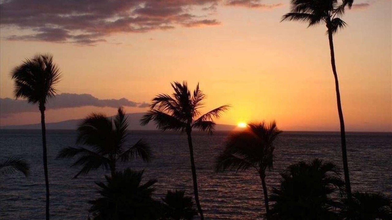 Photo of Others in Wailea
