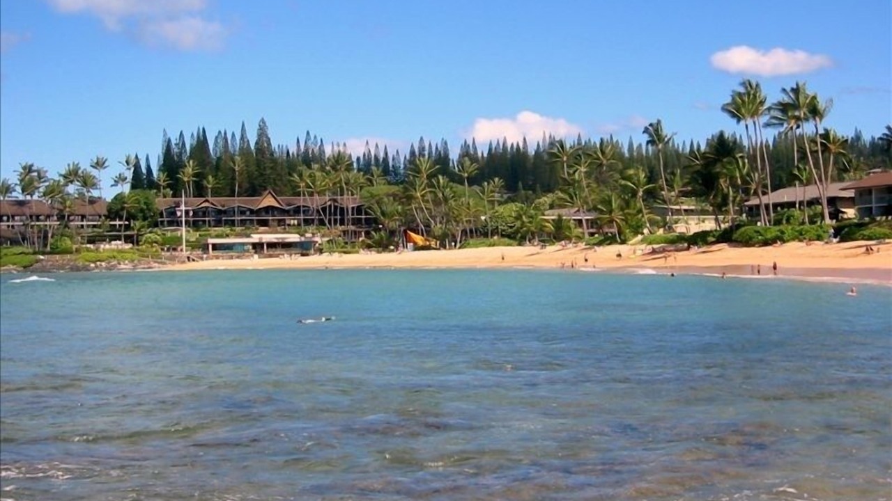 Photo of Others in Napili
