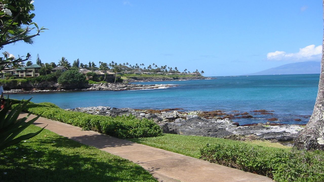 Photo of Others in Napili