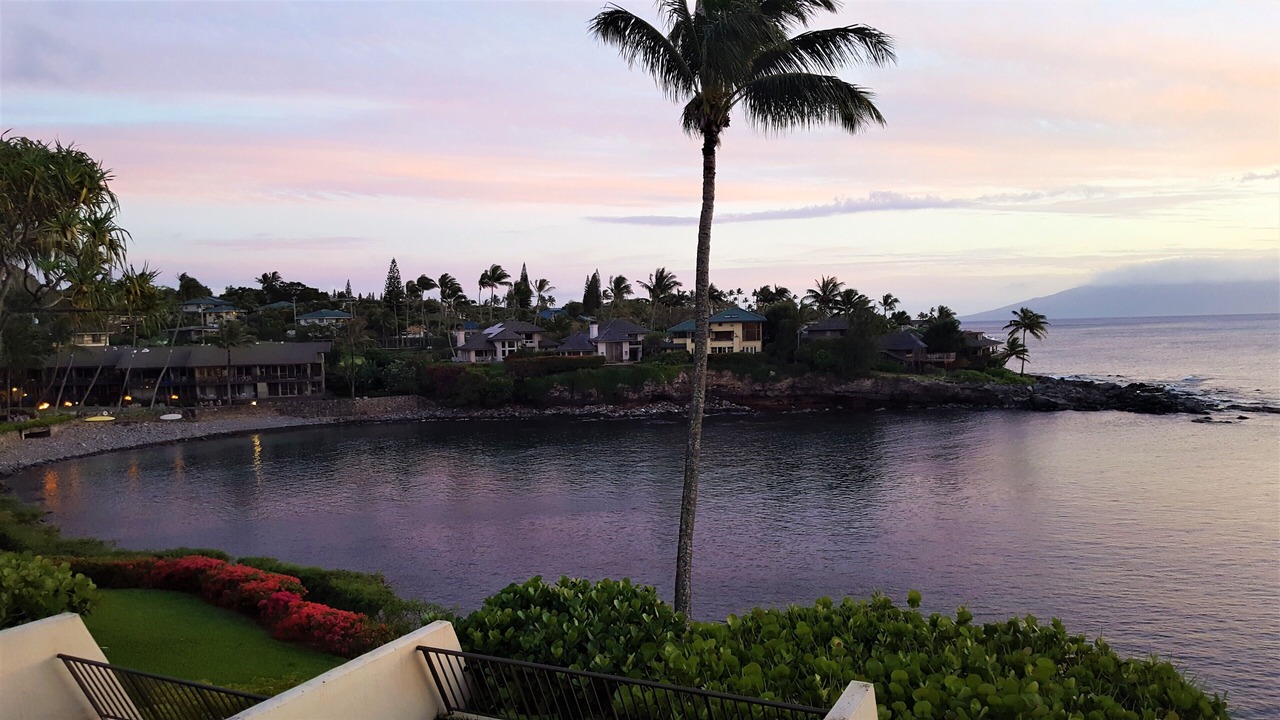 Photo of Others in Napili