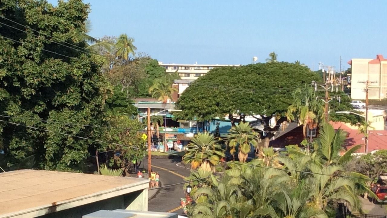 Photo of Others in Historic Kailua Village