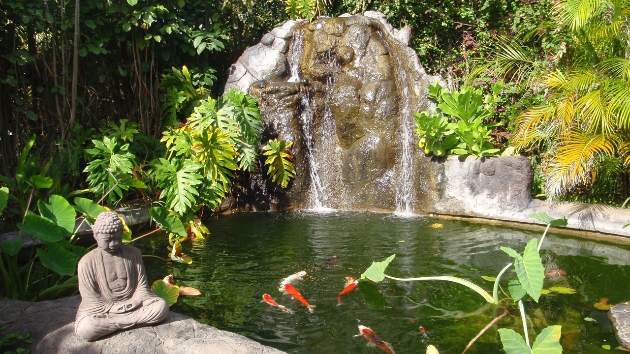 Photo of Others in Waimanalo
