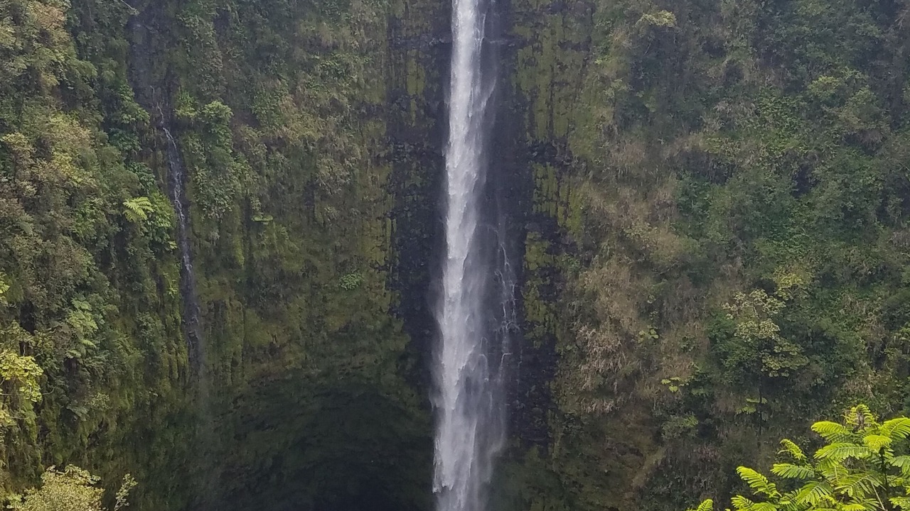 Photo of Others in Kailua-Kona