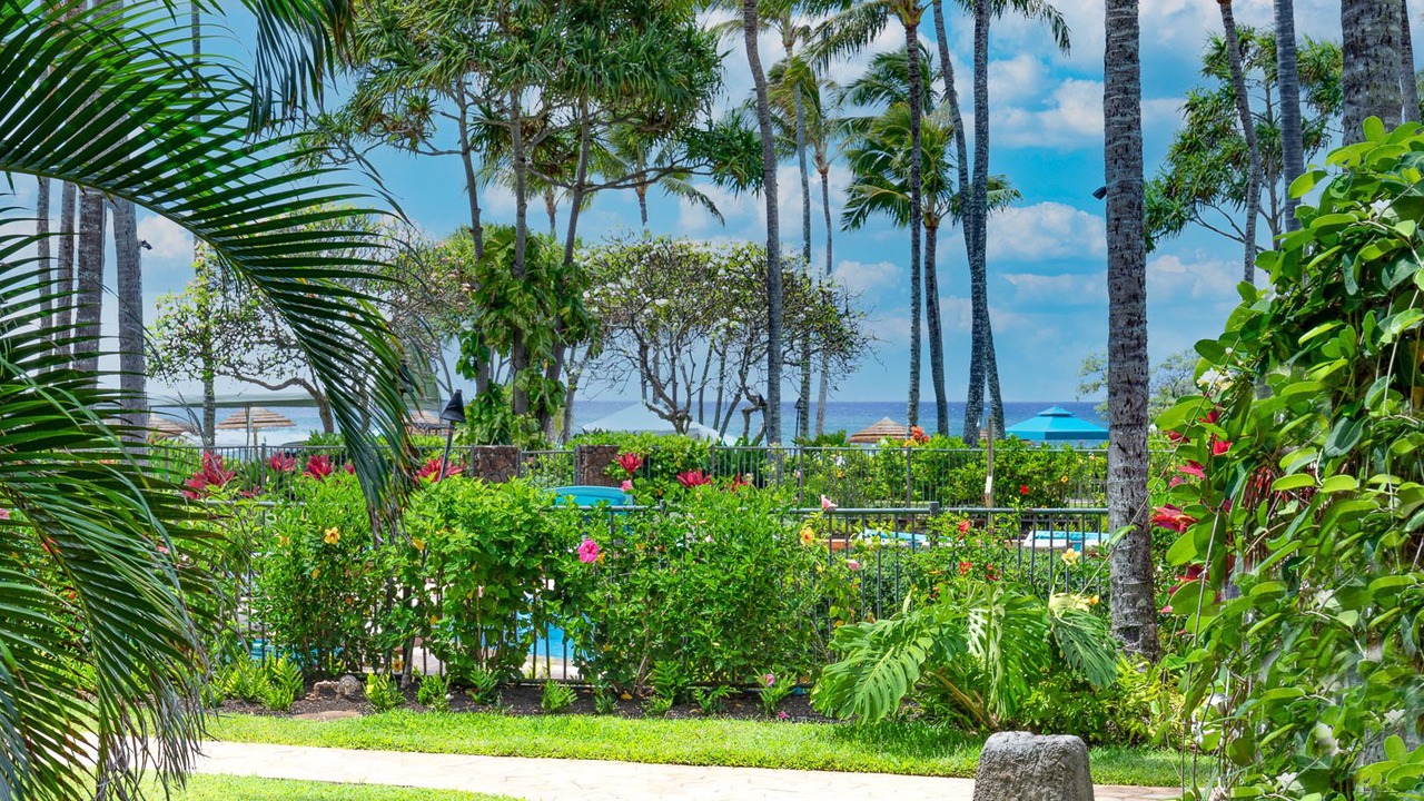 Photo of Outdoor in Kahuku