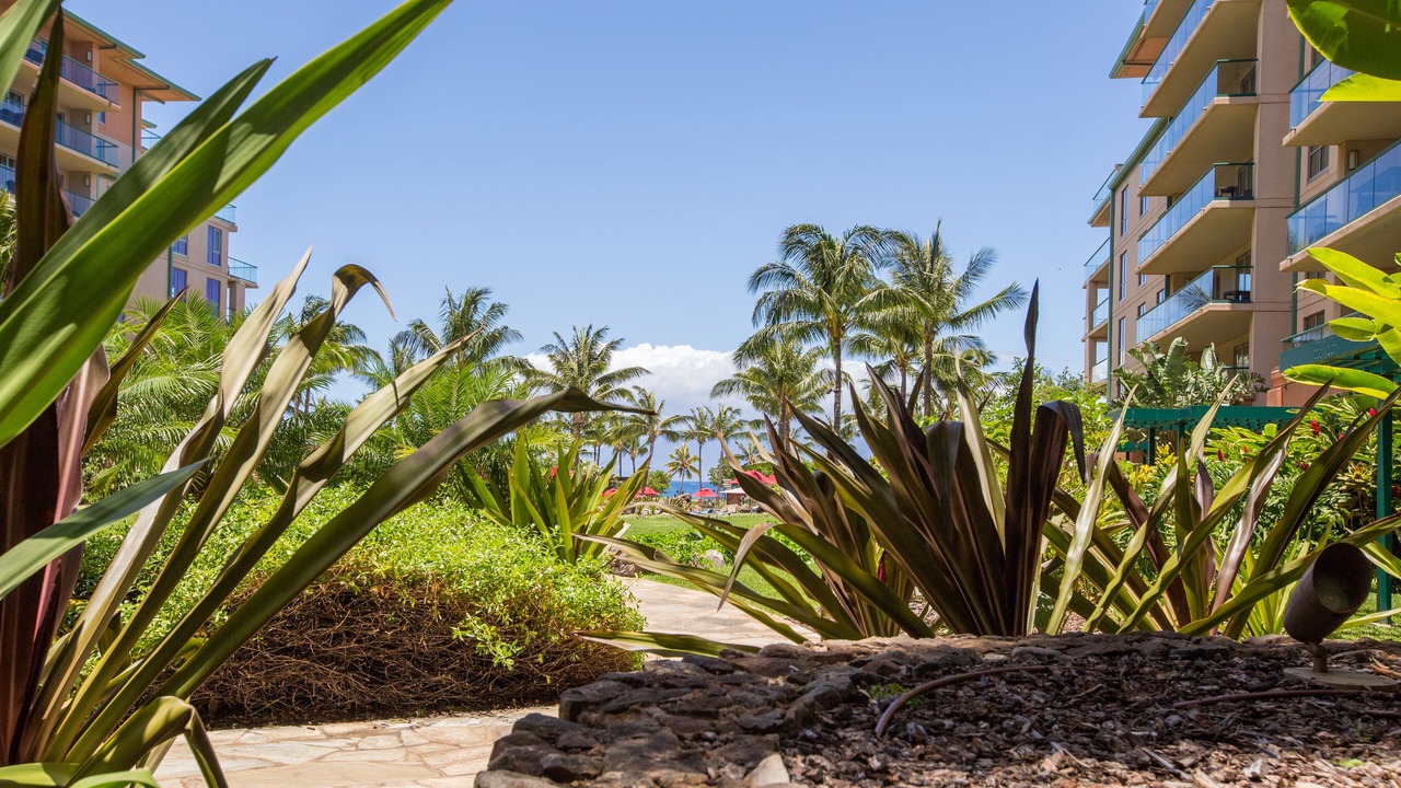Photo of Outdoor in Honokowai