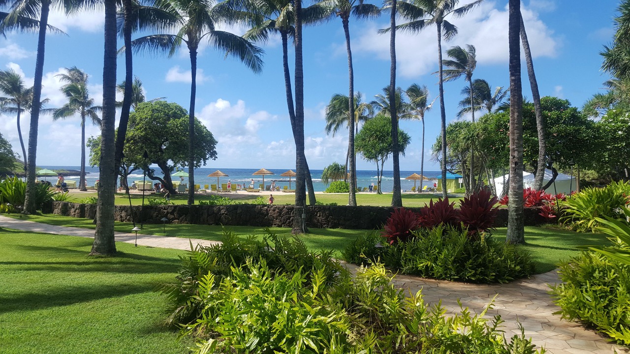 Photo of Outdoor in Kahuku