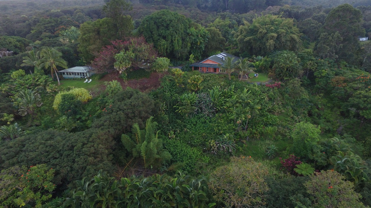 Photo of Others in Hana