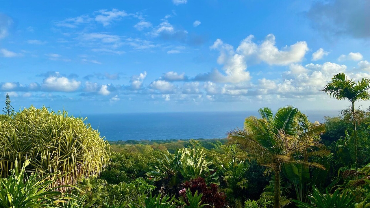 Photo of Others in Hana