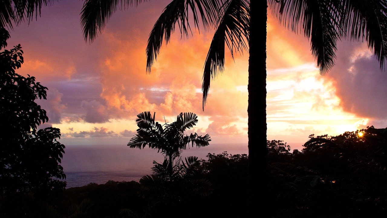 Photo of Others in Hana