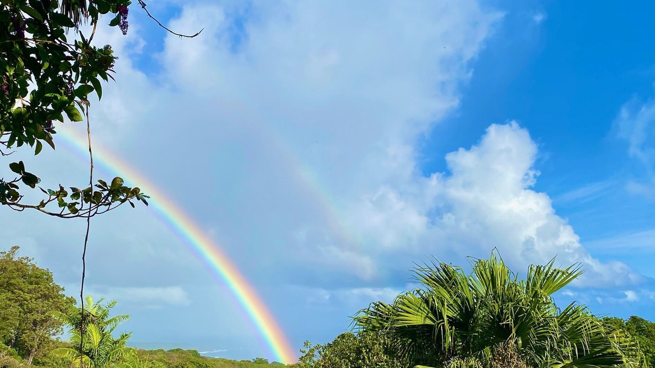 Photo of Others in Hana